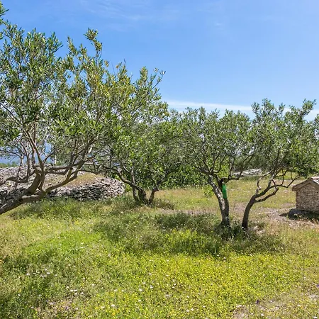 Nyaraló Secluded House With A Parking Space Supetar, Brac - 17330 *